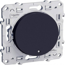 Va-et-vient Avec Voyant Lumineux Anthracite 10a À Vis Odace