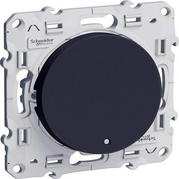 Va-et-vient Avec Voyant Lumineux Anthracite 10a À Vis Odace