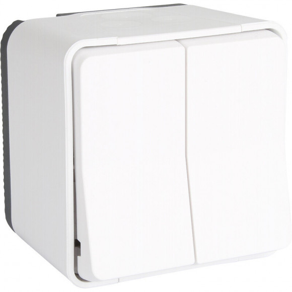 Double Interrupteur Va-et-vient Blanc En Saillie Étanche Mureva