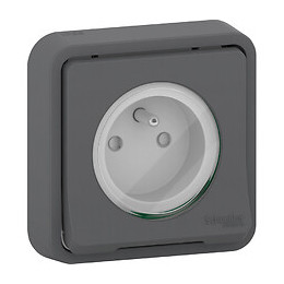 Prise De Courant Anthracite Encastrée Étanche Mureva