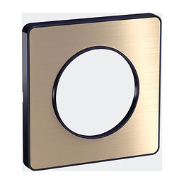 Plaque De Finition 1 Poste Bronze Brossé Avec Liseré Anthracite Odace