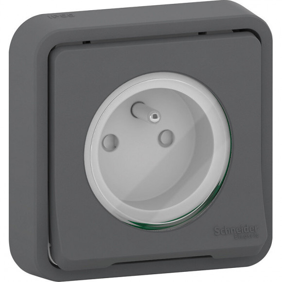 Prise De Courant Anthracite Encastrée Étanche Mureva