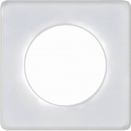 Plaque De Finition 1 Poste Transparent Odace