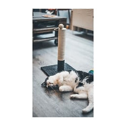 Aime Poteau Griffoir Jute 42 Cm - Base Solide Rectangulaire - 30x30 Cm - Jouet Pompon - Noir