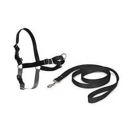 Easy Walk Harnais L - Noir - Pour Chien
