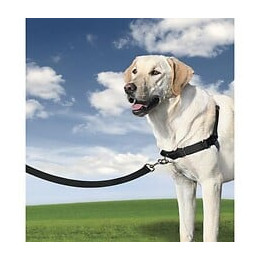 Easy Walk Harnais L - Noir - Pour Chien