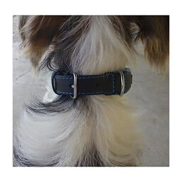Yago Collier En Cuir Noir Et Bleu Souple Et Reglable Pour Grand Chien, Taille L 43-52 Cm