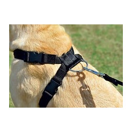 Harnais De Sécurité Voiture Pour Chien - Taille Xl