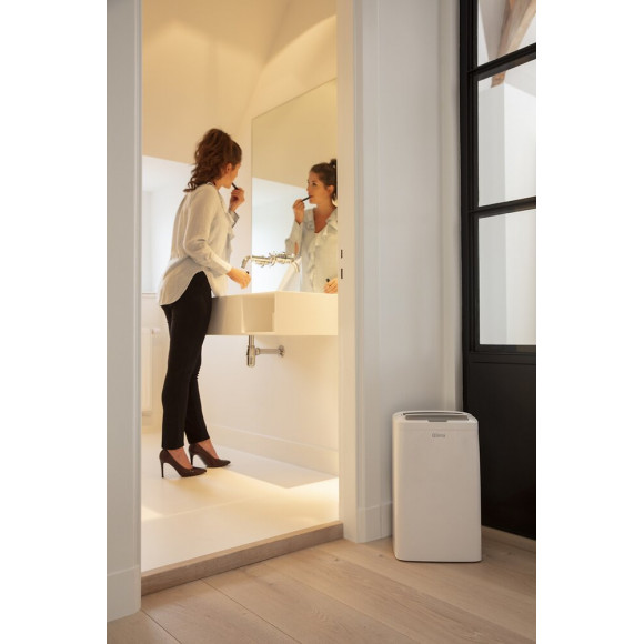 Déshumidificateur D610