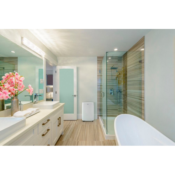 Déshumidificateur D630P