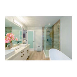 Déshumidificateur dd208