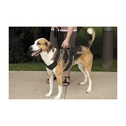 Easy Walk Harnais M - Noir - Pour Chien