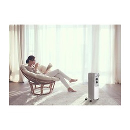 Oceanic 1000 W Radiateur Electrique Bain Dhuile - Mobile - 3 Puissances - Gris