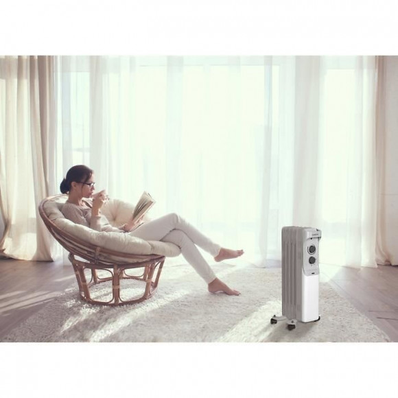 Oceanic 1000 W Radiateur Electrique Bain Dhuile - Mobile - 3 Puissances - Gris