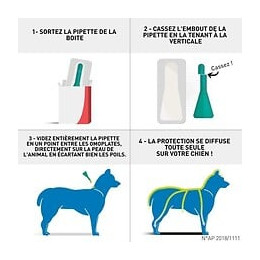 Frontline Spot On Chien 20-40kg - 4 Pipettes