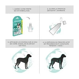 Vetocanis 4 Pipettes Anti-puces Et Anti-tiques - Pour Petit Chien 2-10 Kg - 4x 1 Mois De Protection