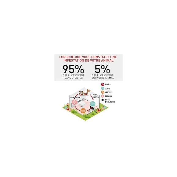 Frontline Combo Chien 10-20kg - 6 Pipettes