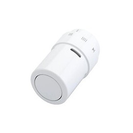 Rax Tete Thermostatique Couleur Blanche ( Ral 9016)