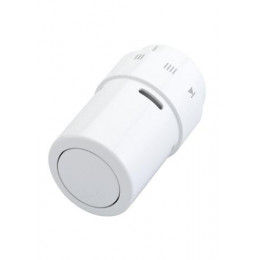 Rax Tete Thermostatique Couleur Blanche ( Ral 9016)