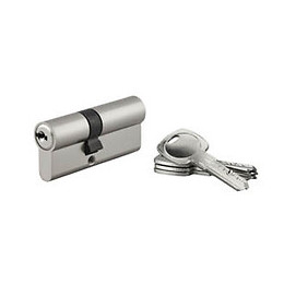 Cylindre profil nickelé 30x40mm 4 clés réversibles