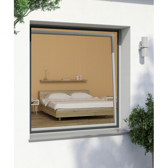 MOUST FIX FEN 100X120 ANT