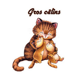 Aspirateur eaux et poussières 15L cuve PVC