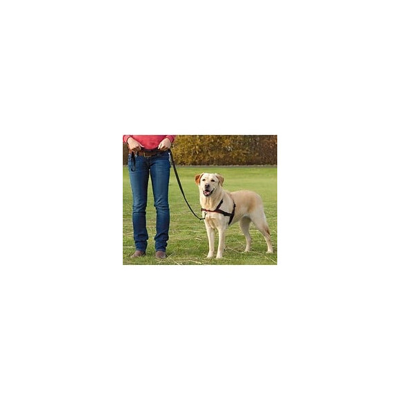 Trixie Harnais Dentrainement Leadnwalk Soft - Taille S-m - Pour Chien