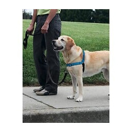 Easy Walk Harnais Deluxe L - Bleu Ocean - Pour Chien