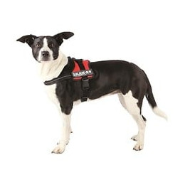Harnais Power Julius-k9 - Mini - M : 51-67 Cm-28 Mm - Rouge - Pour Chien