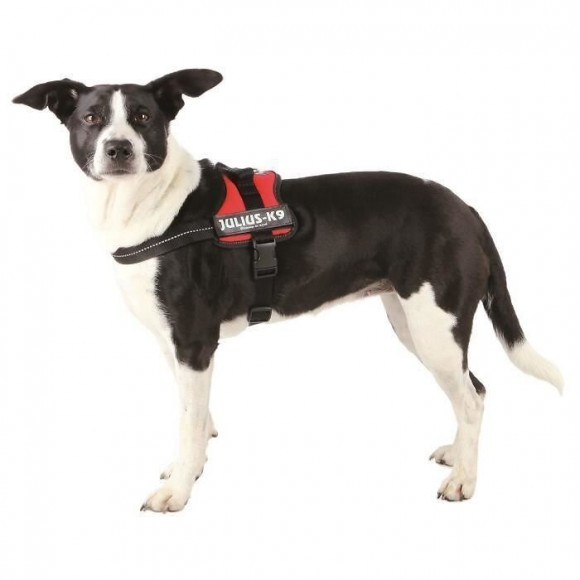 Harnais Power Julius-k9 - Mini - M : 51-67 Cm-28 Mm - Rouge - Pour Chien