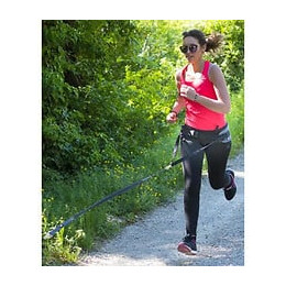 Laisse Canicross Style Gris