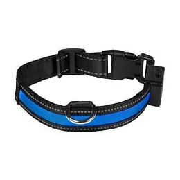 Eyenimal Collier Lumineux Light Collar Usb Rechargeable M - Bleu - Pour Chien