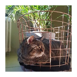 Europet Bernina Panier Caramel En Metal Rond Duvo+ - Rose - Pour Chat