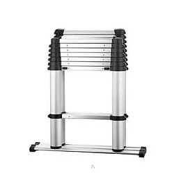 Echelle Télescopique Pro Argent Aluminium 2.96m