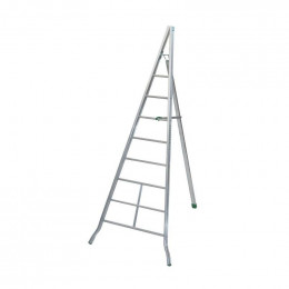 Echelle Fruitière Ag300