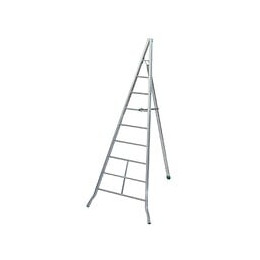 Echelle Fruitière Ag300