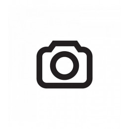 Porte De Cheminée Trappe D'inspection 155x290