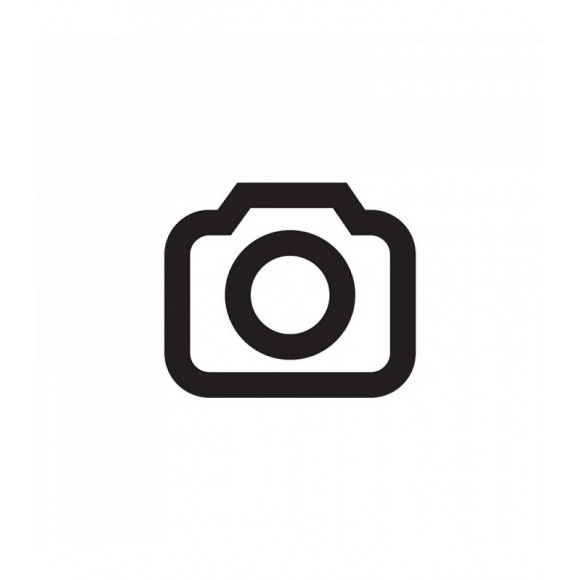 Porte De Cheminée Trappe D'inspection 155x290