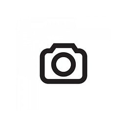 Porte De Cheminée Trappe D'inspection 155x290