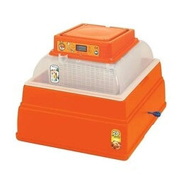 Novital Couveuse Covatutto - 230 V - Ecran Digitale - 24 Oeufs De Poule