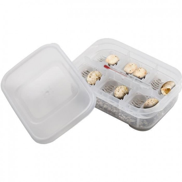 Exo Terra Boite Incubation