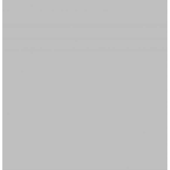 Mastic D'étanchéité Mur Intérieur Rubson Finition 280 Ml Gris