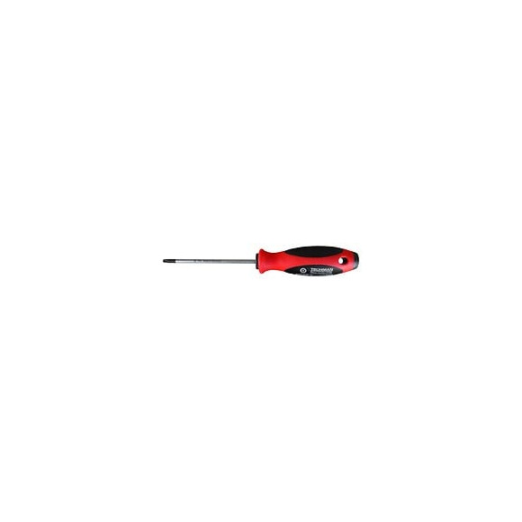 Tournevis Torx Tamper Tt 20