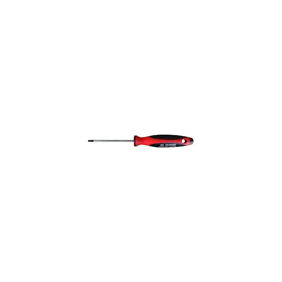 Tournevis Torx Tamper Tt 15