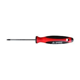 Tournevis Torx Tamper Tt 10