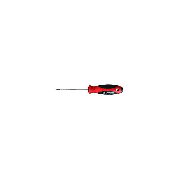 Tournevis Torx Tamper Tt 25