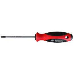 Tournevis Torx Tamper Tt 25