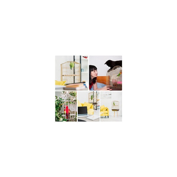 Cage À Oiseaux Volière Avec Mangeoires Perchoirs Plateau Amovible Dim. 48l X 36l X 91h Cm Métal Ps Noir