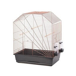 Duvo+ Cage Copper Lexa 54 X 34 X 64,5 Cm - 3,5 Kg - Noir Et Cuivre - Pour Oiseaux