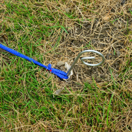 Agility Sport Pour Chien Slalom - Slalom Pour Chien - Lot De 12 Poteaux + Ancrage Sol - Sac De Transport Inclus Rouge Bleu